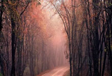 冠军奥运篇｜马龙：热爱和追求让我走到今天.：雷竞技