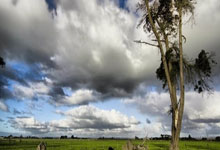 18强赛3月21日客场挑战沙特 强援助阵国西亚抢分.