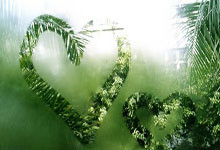 十五运女排成年组资格赛：天津渤海银行女排遭遇首败.：雷竞技