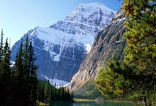 乒乓球——亚洲杯：张本美和晋级八强.：雷竞技